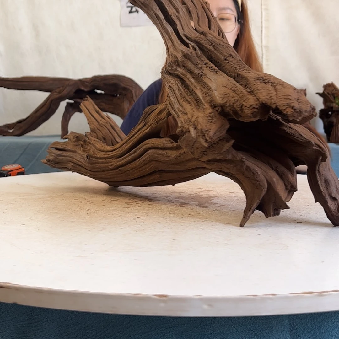 沉木造景寄居蟹景642144