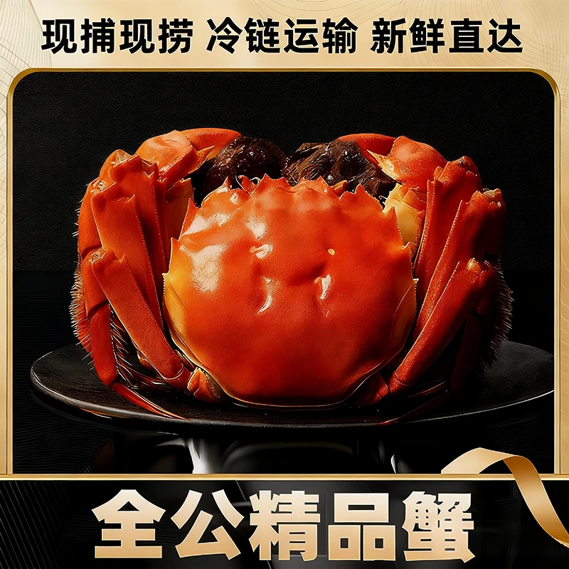 【活蟹】全公蟹5.3-5.0两8只(精挑蟹)江苏精品大闸蟹鲜活冷链直发
