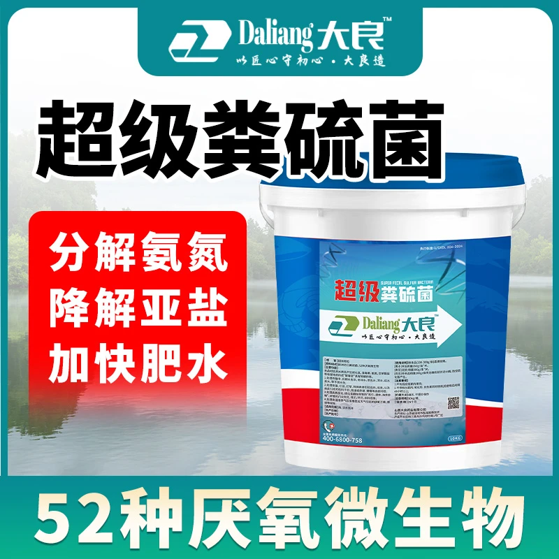 大良粪硫菌分解淤泥氧化底泥生物改底硫化氢超标水产养殖鱼专用