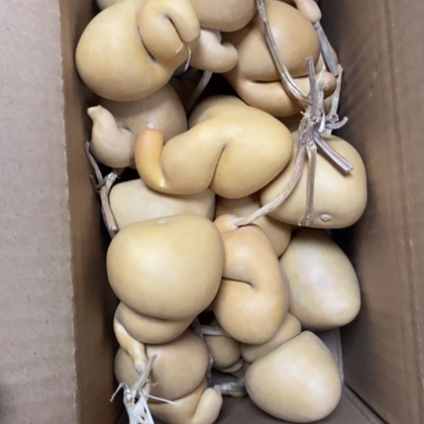 【闪购商品】三十个钱袋105块钱