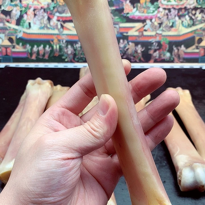 手串/手链驼骨手链项链