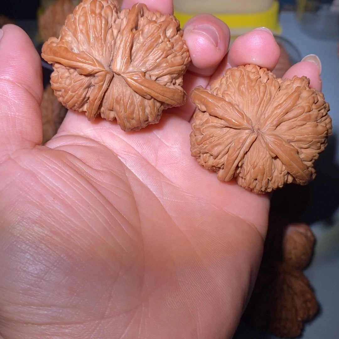 泽***哥把件文玩核桃50白狮子连体