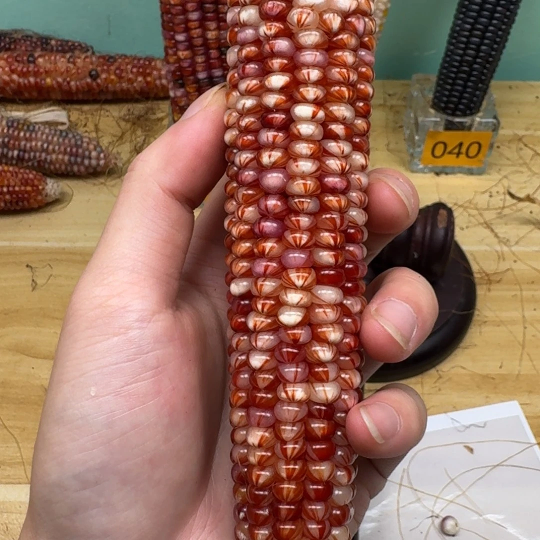 l***&柏香籽/百香籽吊坠