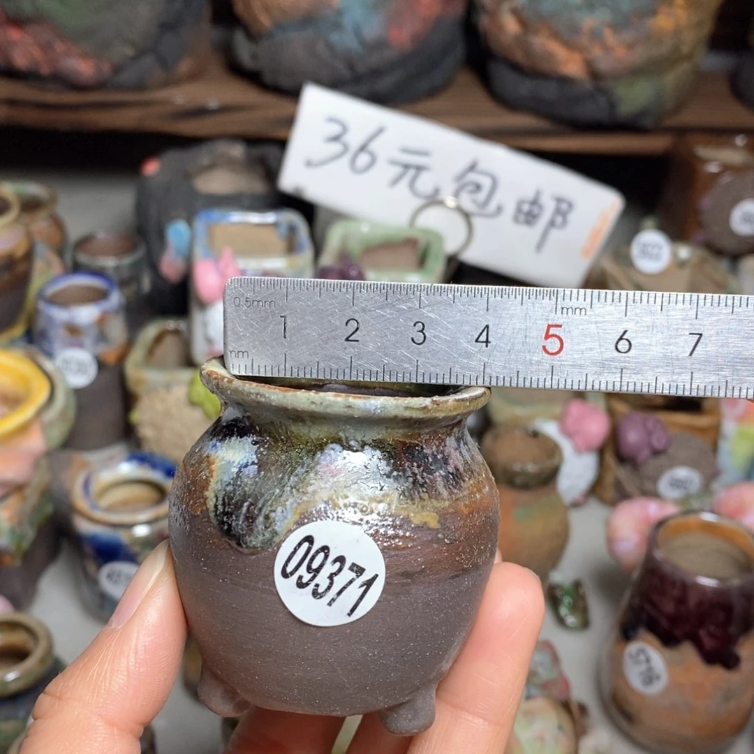 拍5送一个小礼物