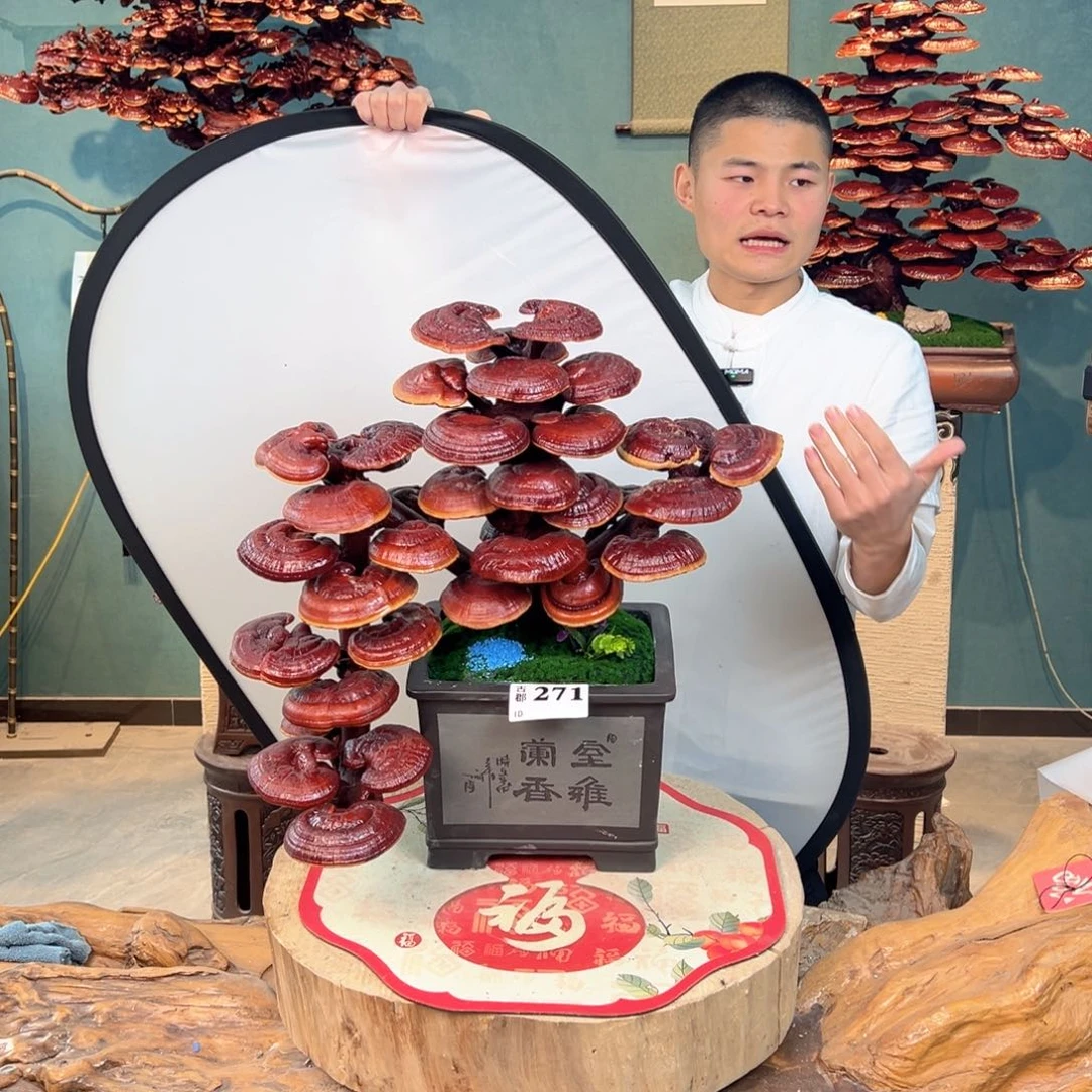 无花朵88888888888