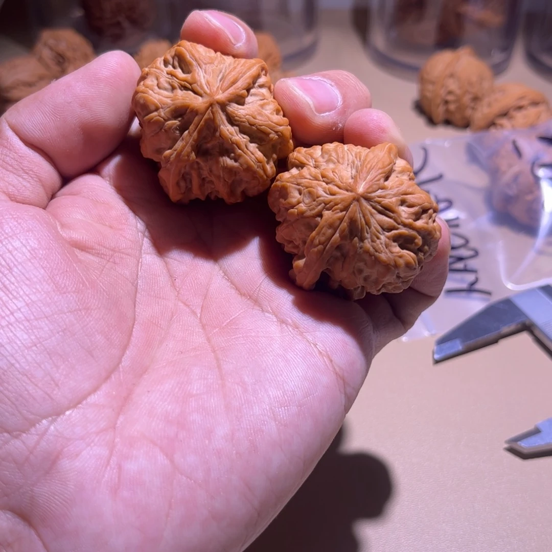 使***者吊坠文玩核桃九龙