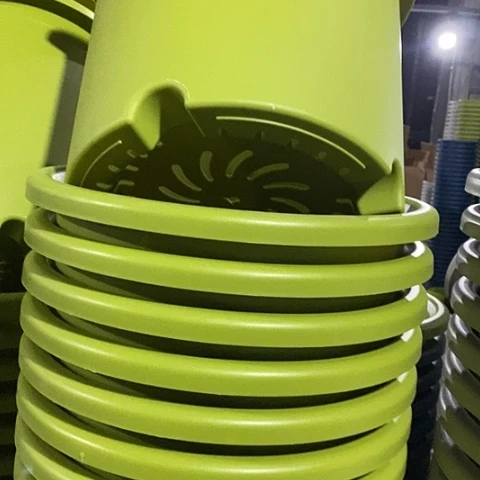 树脂四季8号果绿无托3个