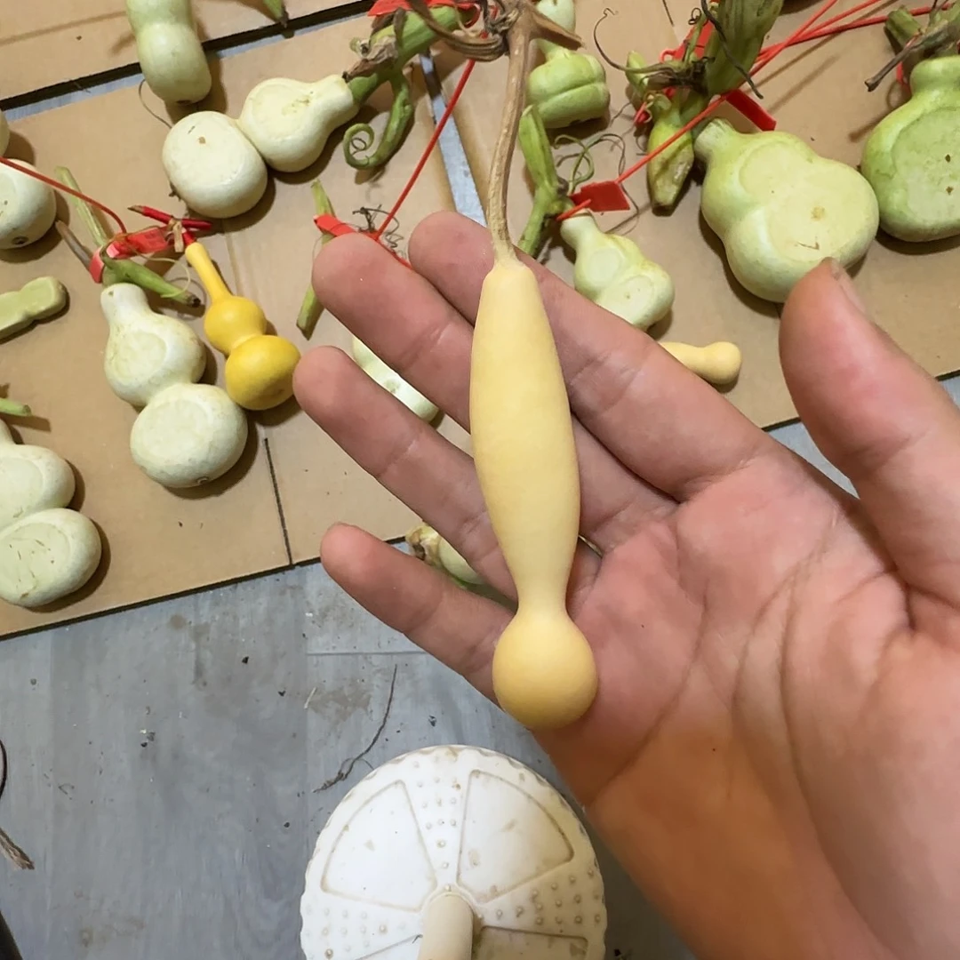 ᴷ哈哈你是我的小可爱啊哈哈哈哈哈哈哈我