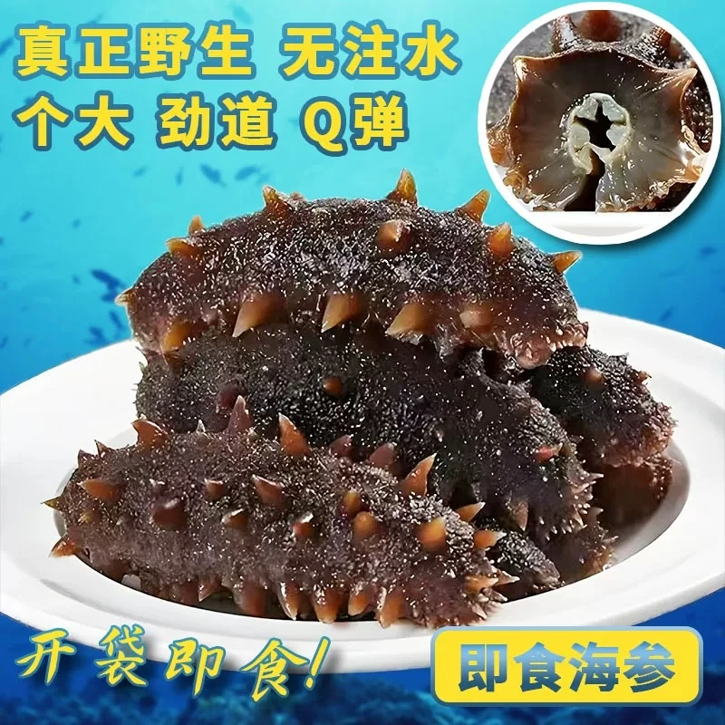 15根 深海即食海参 Q弹软糯   顺丰冷链包邮