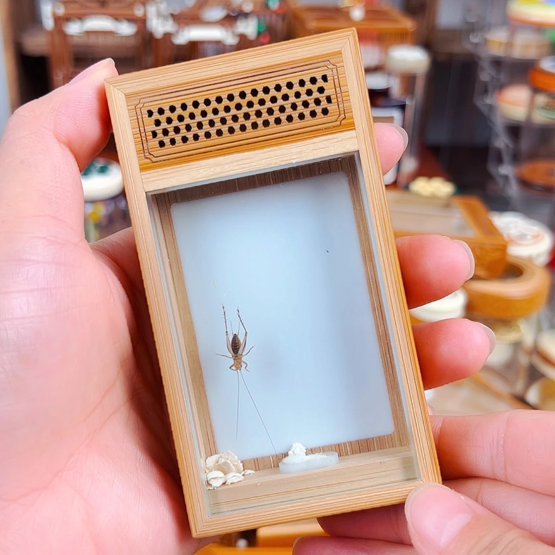 木如意齋新款黄蛉盒➕大黄蛉