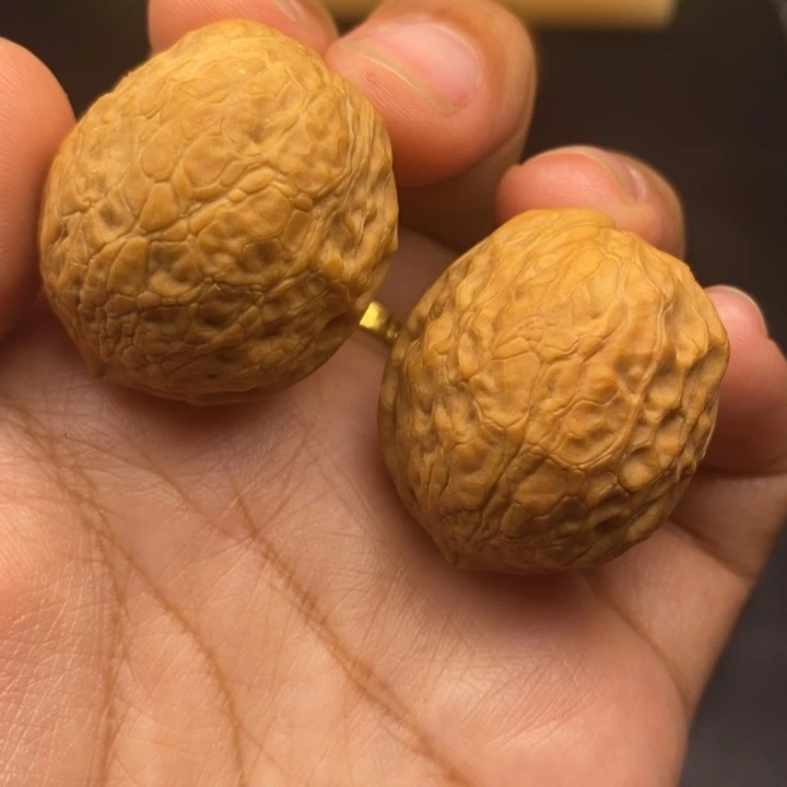 文玩核桃把件34尺蛇皮元宝