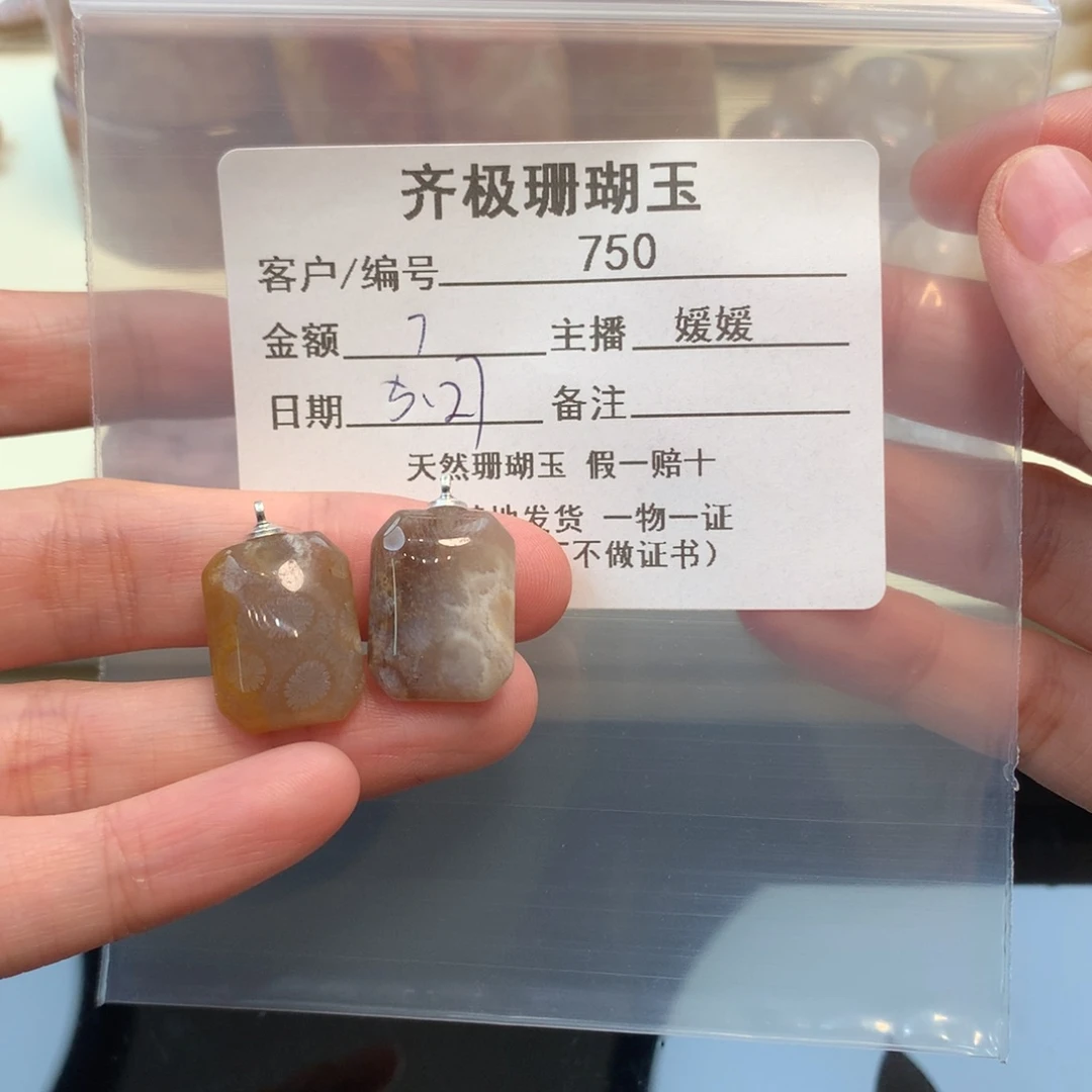 硅化珊瑚（珊瑚玉）未镶嵌颈饰很****？