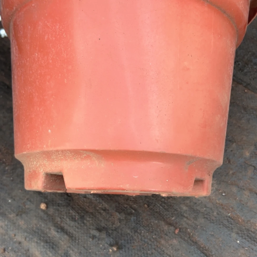 红圆盆31口径 23高 5个