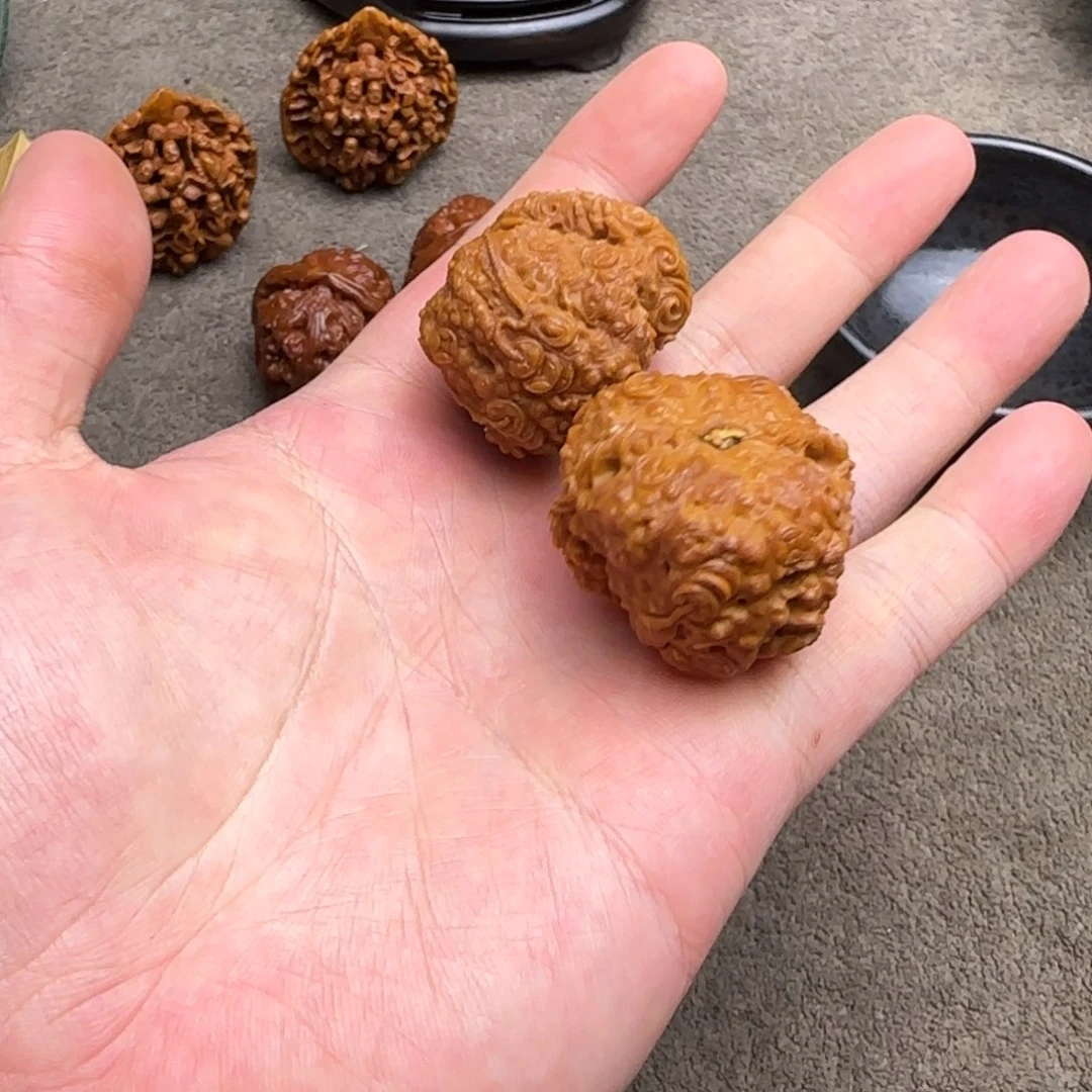 不***埃茶盏茶盏茶盏茶盏茶盏