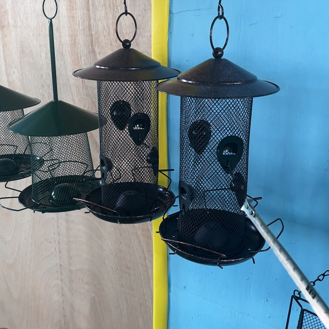 孤品炸炸炸炸炸炸炸