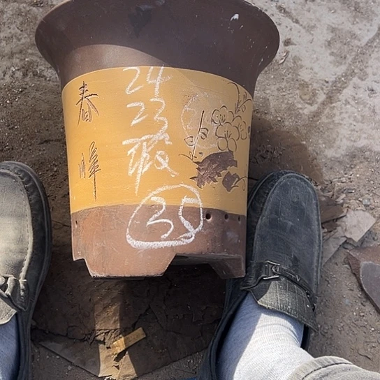 紫砂工艺厂……紫砂工艺厂……