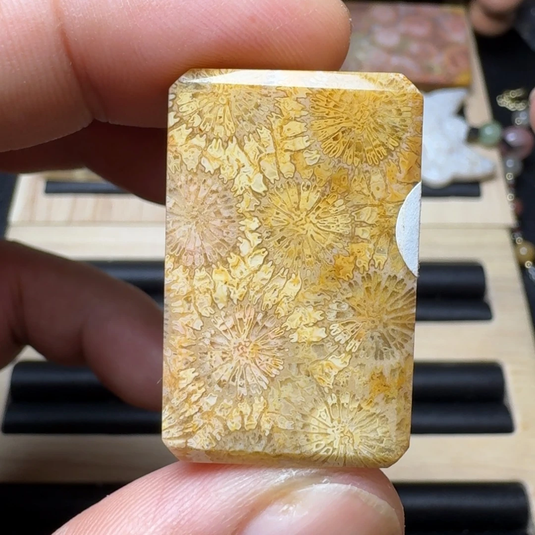 硅化玉未镶嵌纯天然色有机玉石保真色