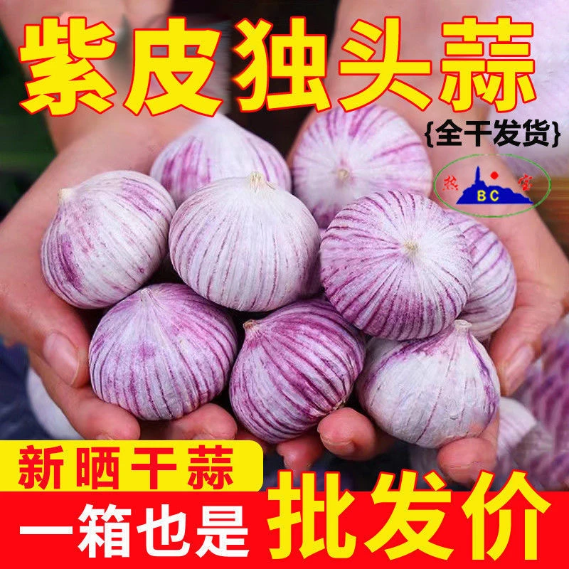 云南紫皮独头大蒜干蒜头批发紫皮独蒜干蒜农产品生鲜特产新蒜