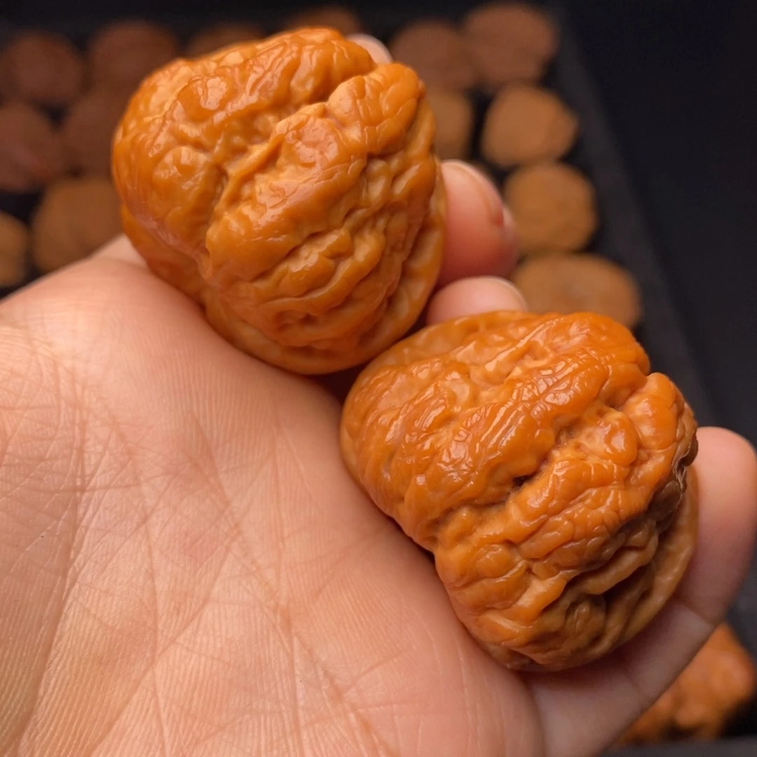 文玩核桃把件秦岭野生核桃