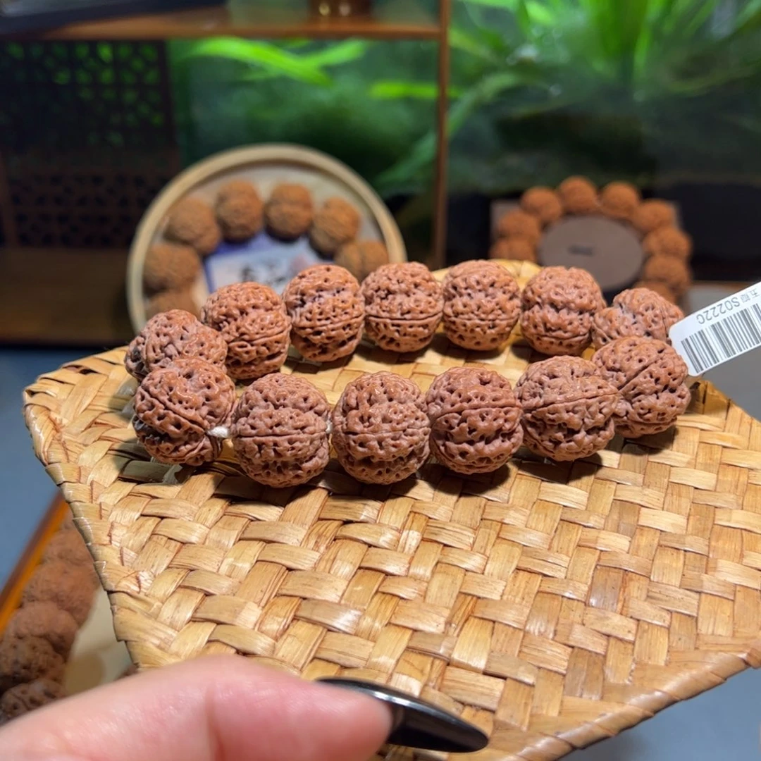 吊坠金刚菩提梁头货树王梅花22mm大金刚