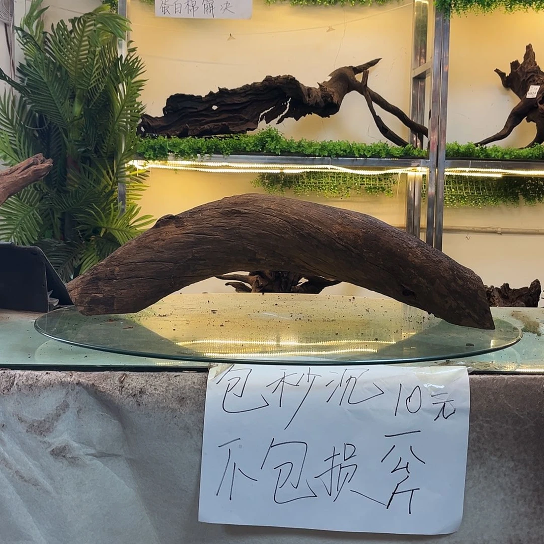 柚木小****?沉木鱼缸造景