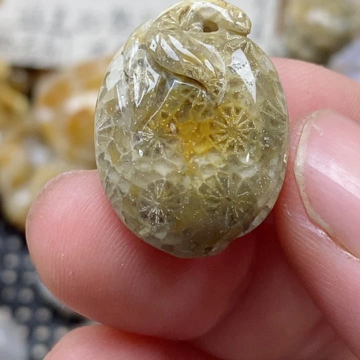 颈饰未镶嵌硅化珊瑚（珊瑚玉）小