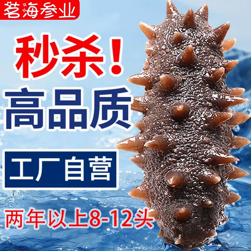 茗海【两年以上8-12头】开袋即食海参大连辽参×1斤顺丰冷链包邮