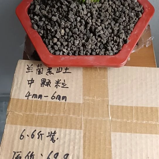 田***兰菌黑山土中颗粒6.6斤