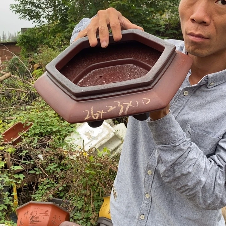 紫砂花盆紫砂艺术学院的