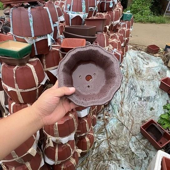 不去看书啊哈是真的想吐是