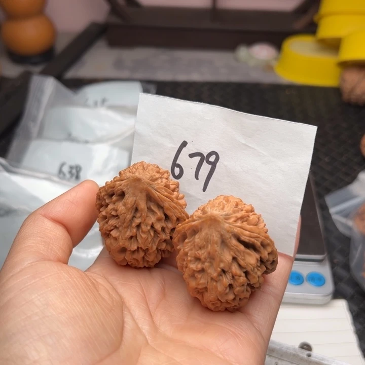 核桃39尺寸招财鼠