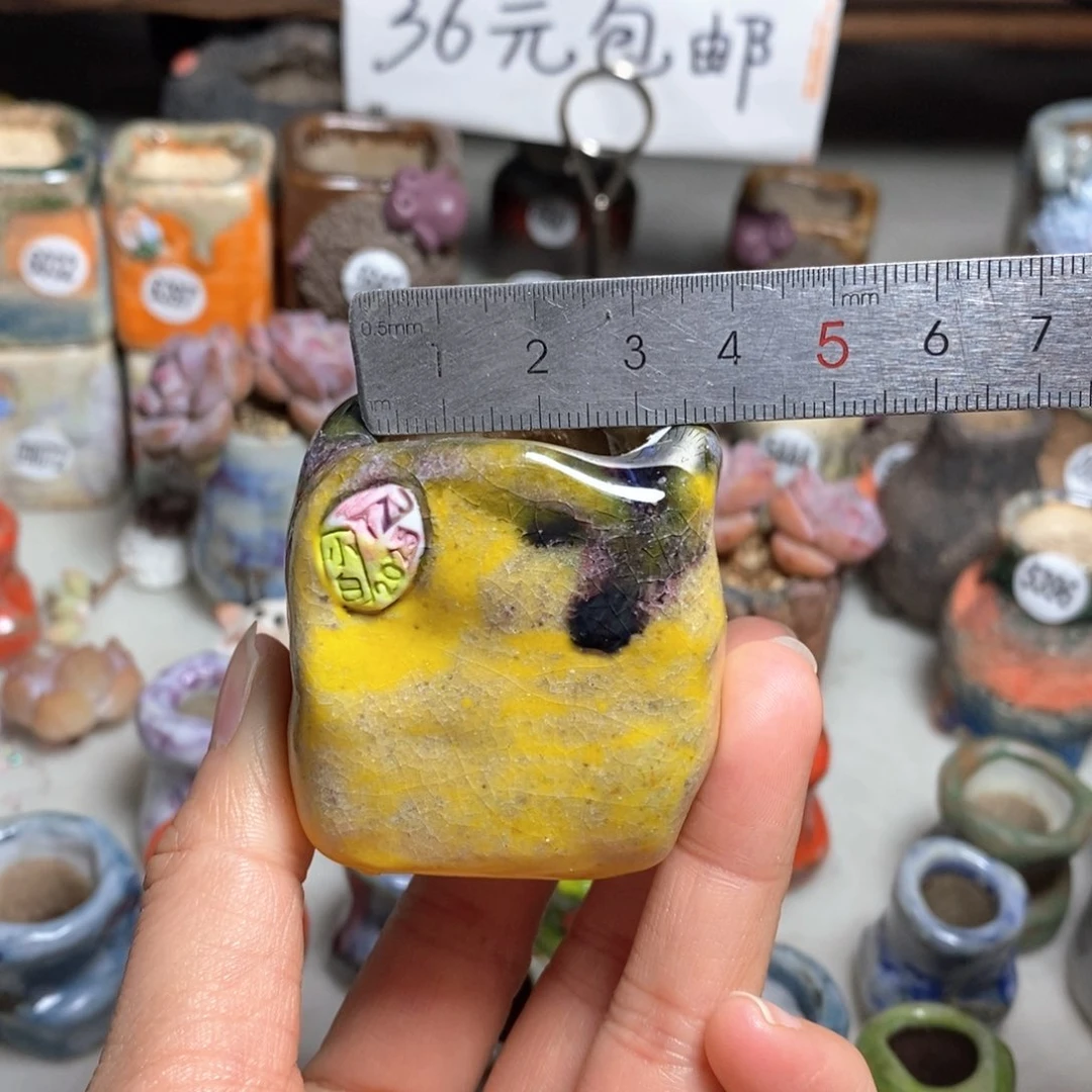 多肉花盆拍3送一个小礼物