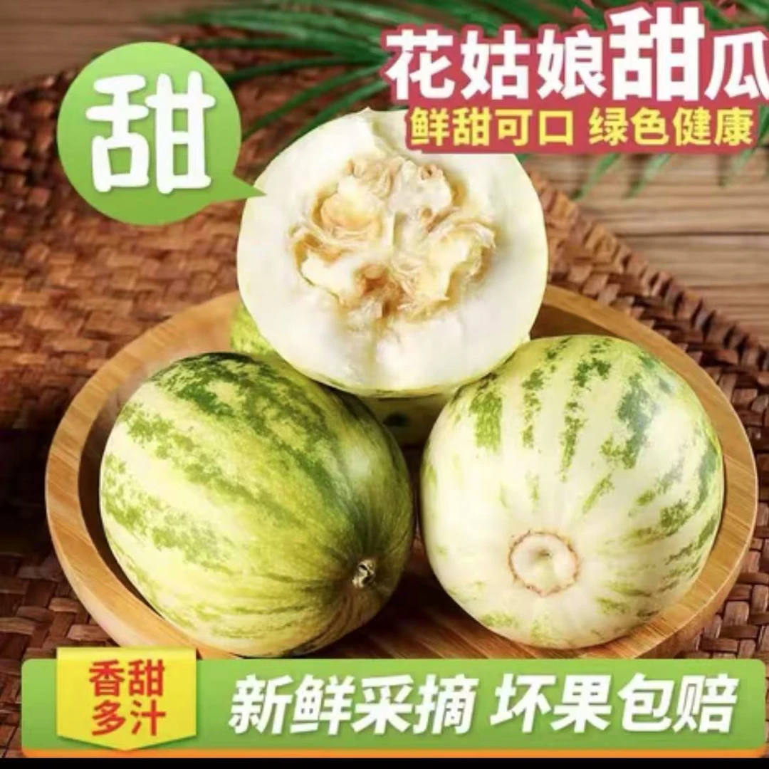 东北花姑娘香瓜脆甜多汁新鲜现摘【包邮】