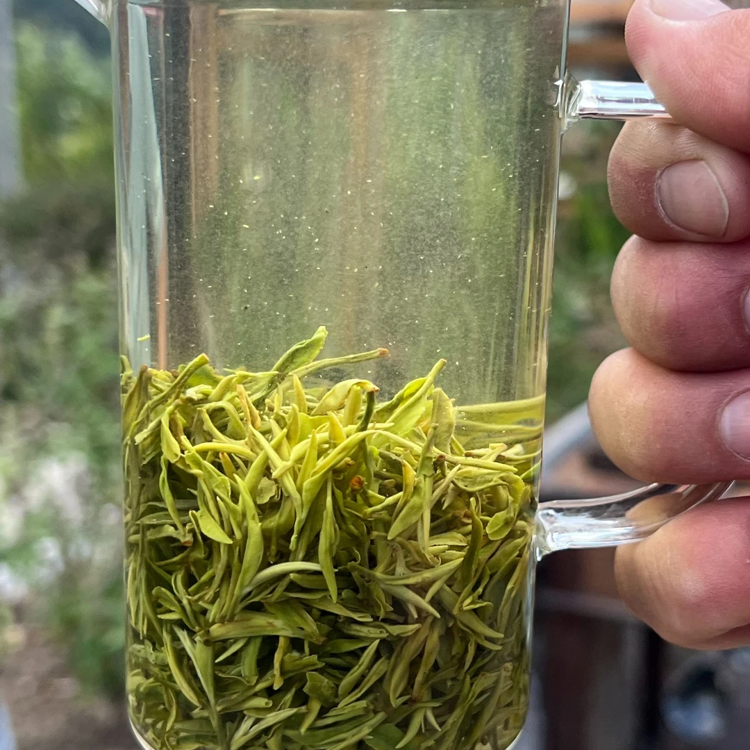 【茶小英】手工信阳毛尖2025新茶高山茶