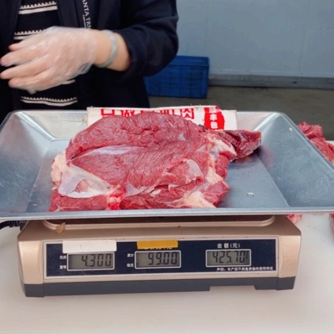 【闪购商品】冷冻保存30天包装河北省