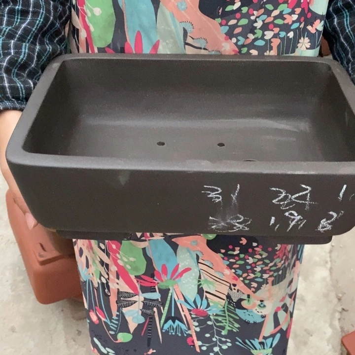花盆紫砂只顾吃瓜就