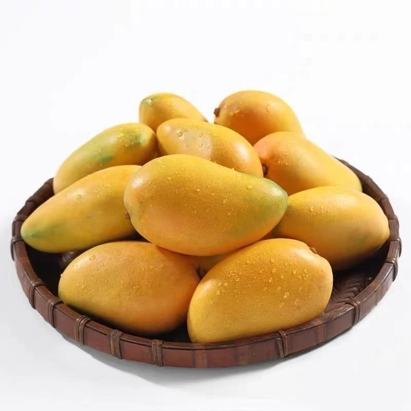 【精品小台芒】香味浓郁 果肉细腻 2盒/一份 3斤左右