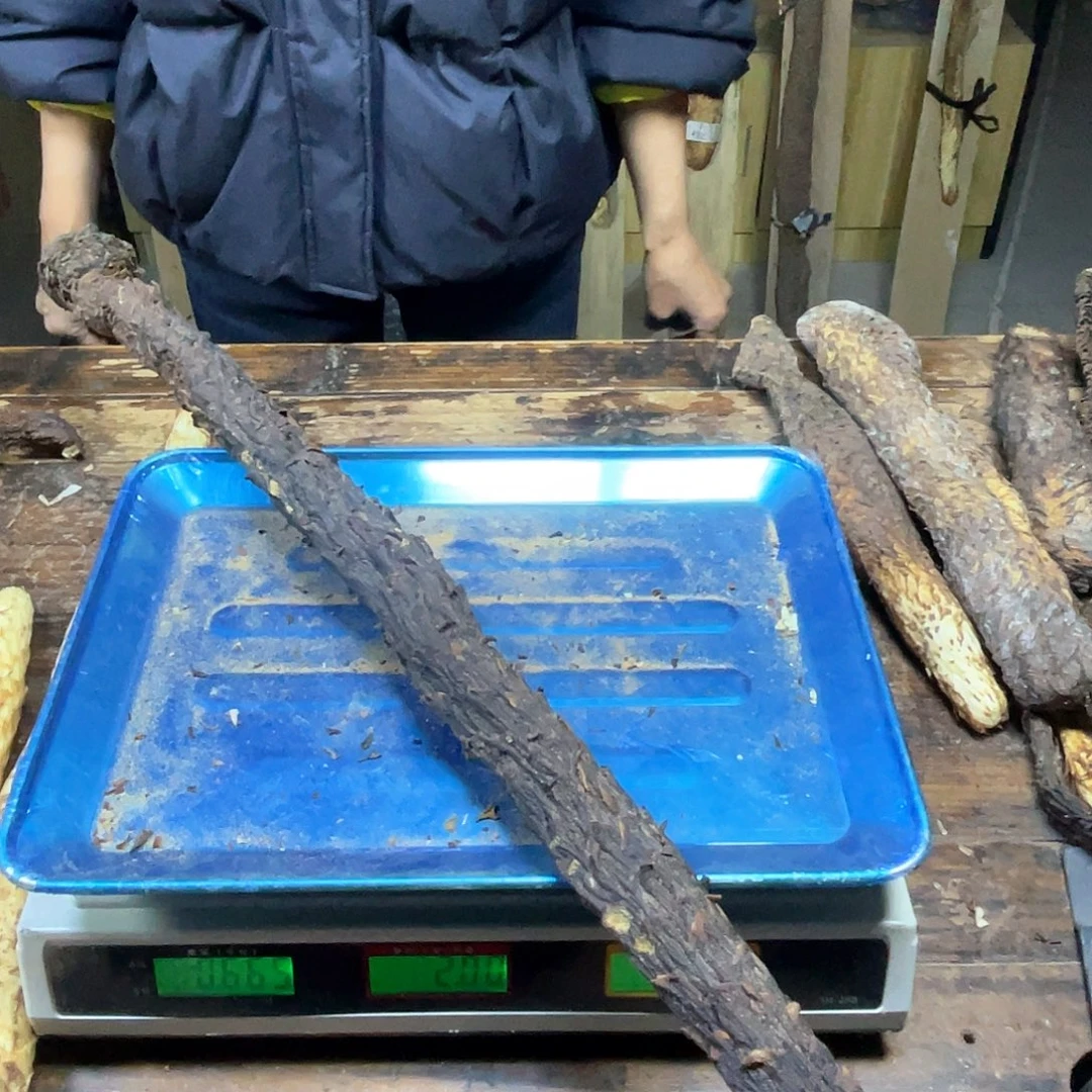 爷***们中国大陆阿拉善沙漠的油果