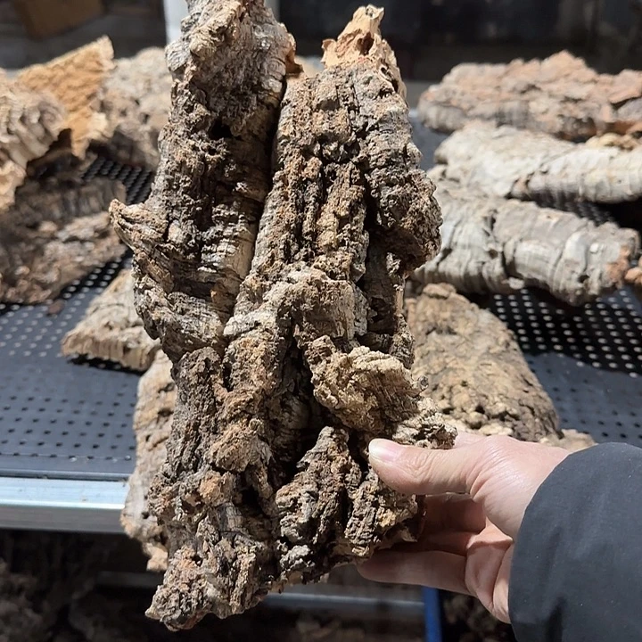 Z***.完全开放一物一拍一物一发