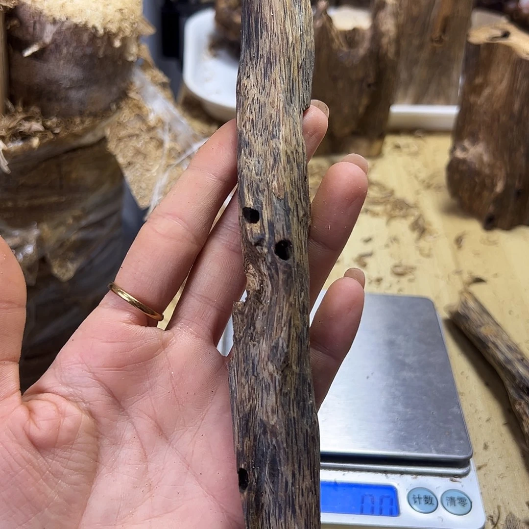 木绿奇楠虫漏28克