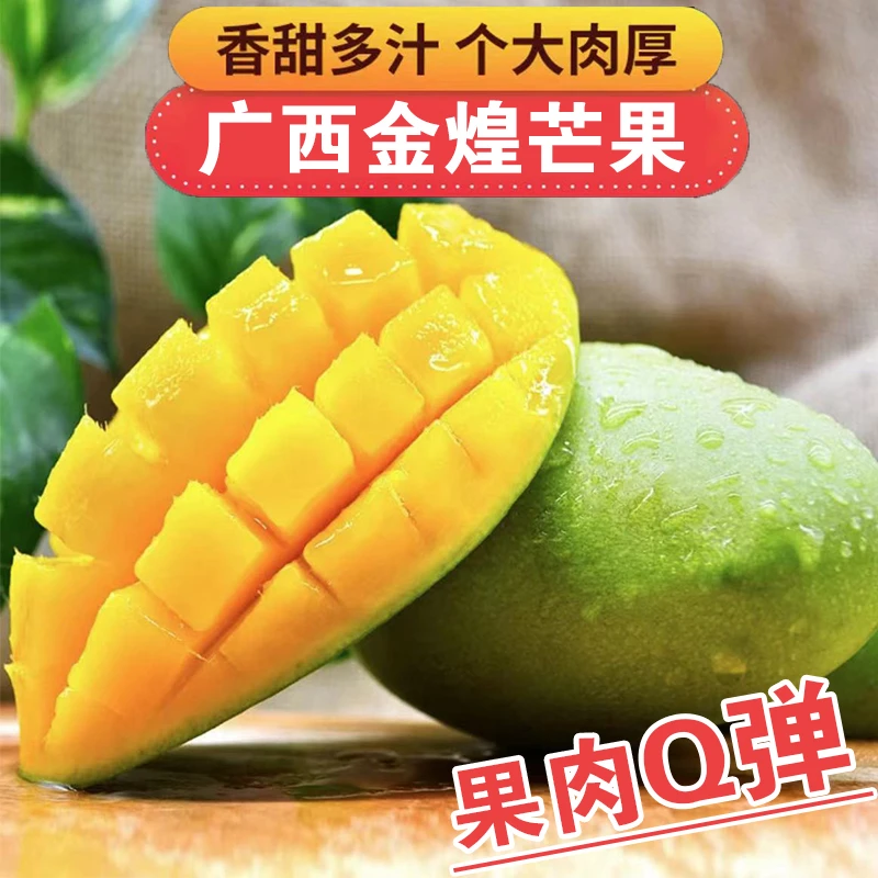 正宗青皮金煌芒甜心芒当季现摘新鲜水果香甜多汁催熟食用