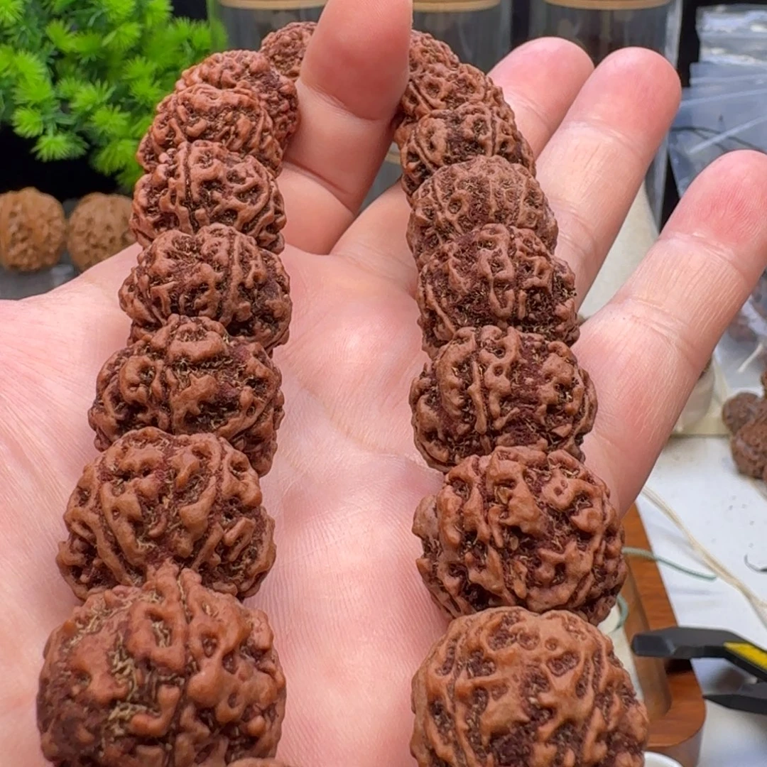 手串金刚菩提蜂窝双龙