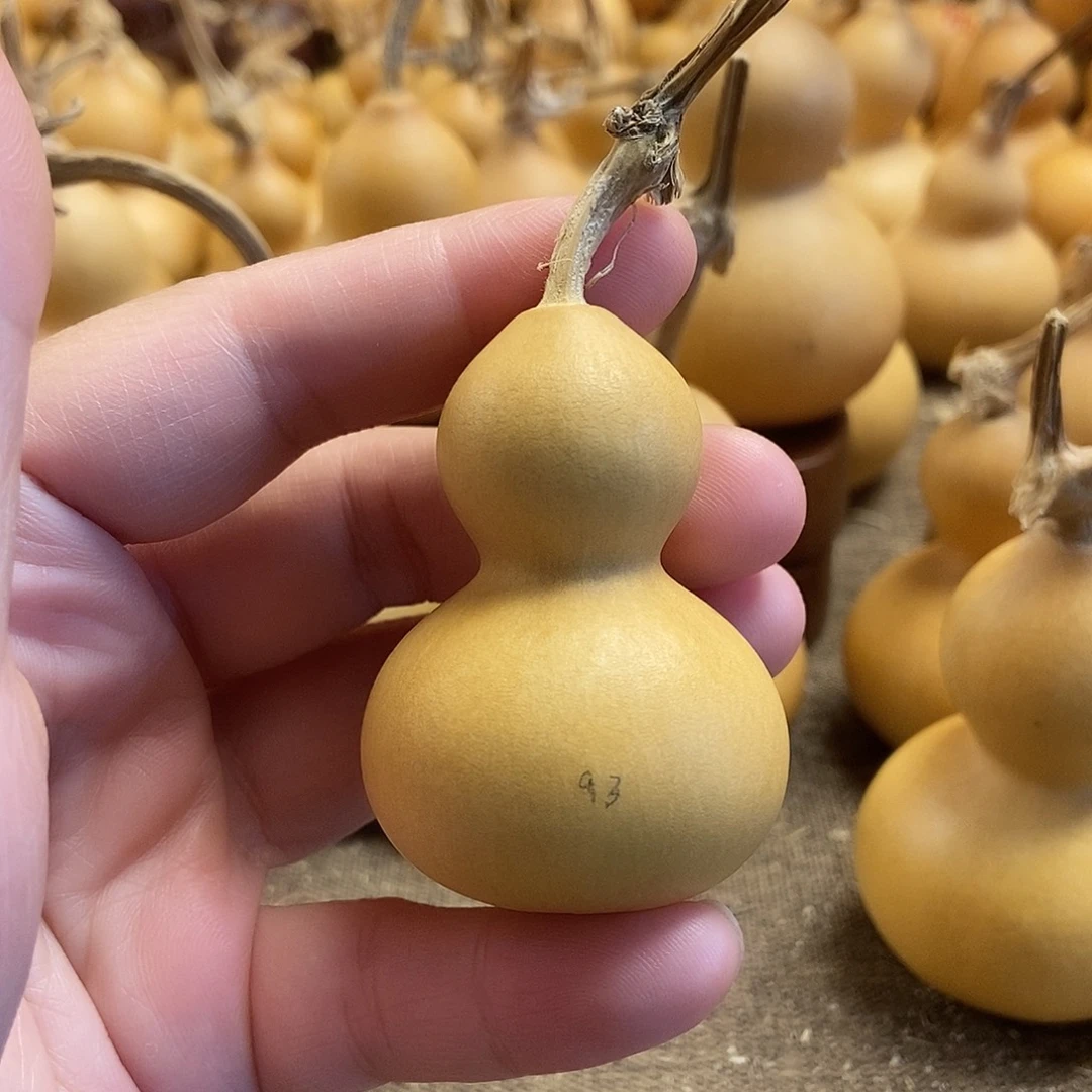 文玩葫芦 完美主义者 慎拍93