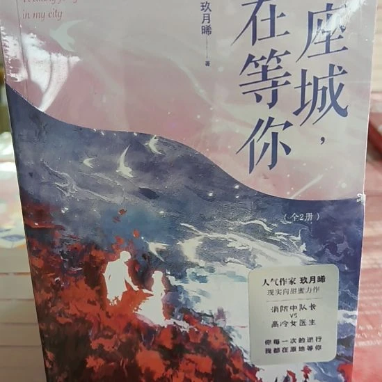 一座城在等你，默认有瑕正版图书。