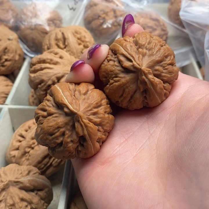 響***仔文玩核桃手串霸王龙