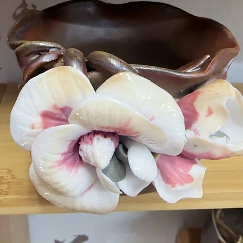 杯柴烧柴烧柴烧柴烧柴烧