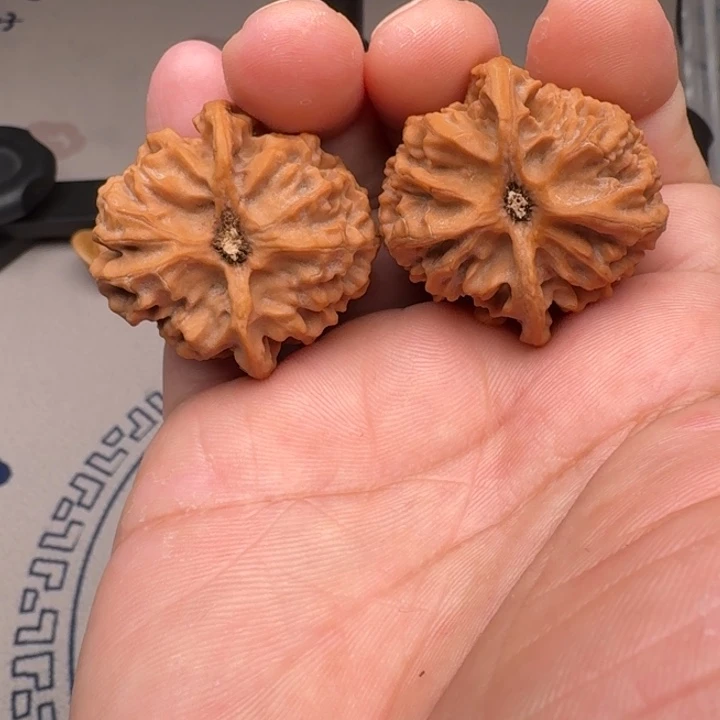 把件桃核山地苹果园37尺1