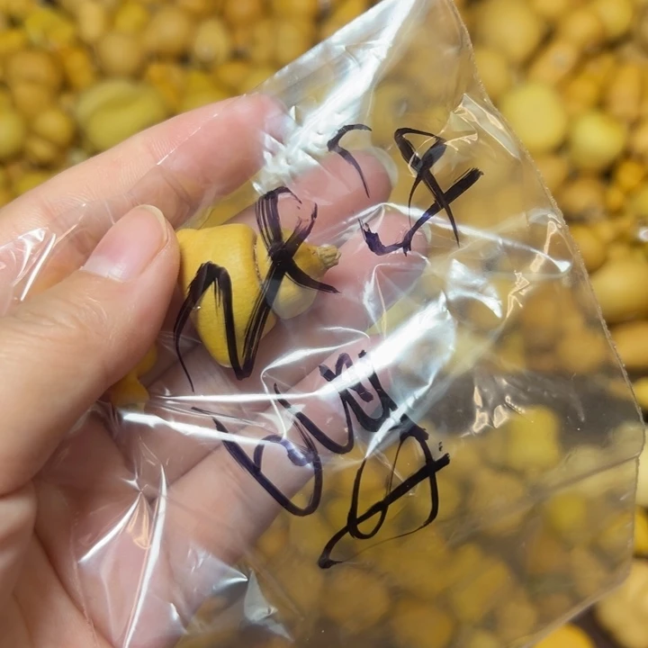 萌***的大叶紫檀（黑酸枝木类）