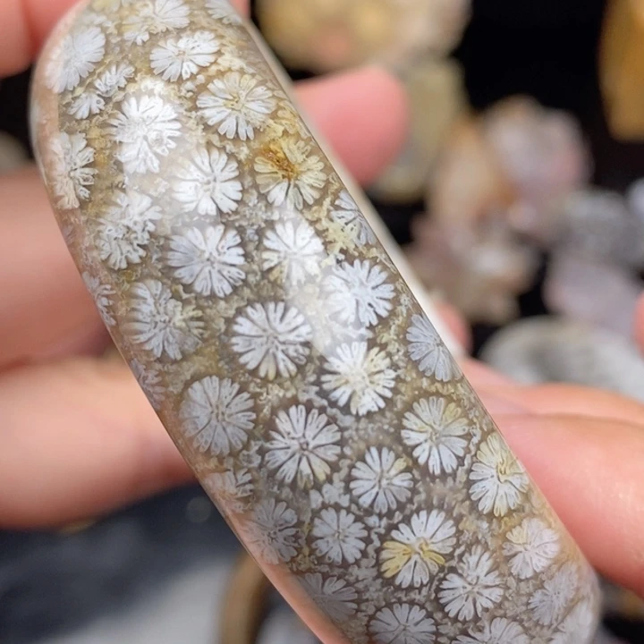 未镶嵌手镯硅化玉56