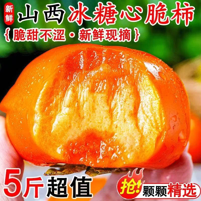 山西巧克力脆甜柿子大果新鲜整箱产地直播卖货批发应季硬柿子丰收